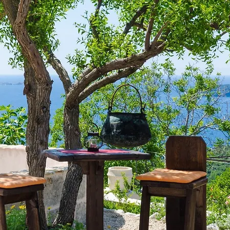 & Savonari 3* Orasac