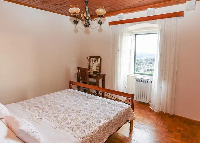 & Savonari Orašac