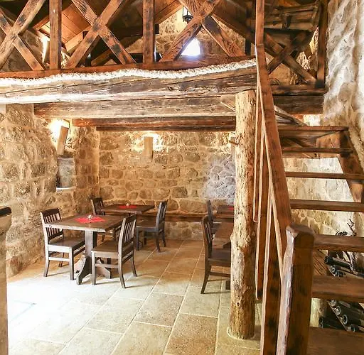 & Savonari Orašac
