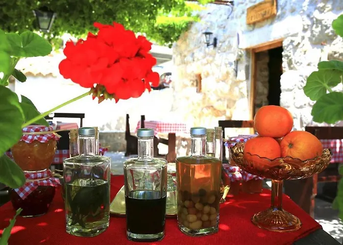 & Savonari Pensionat Orašac