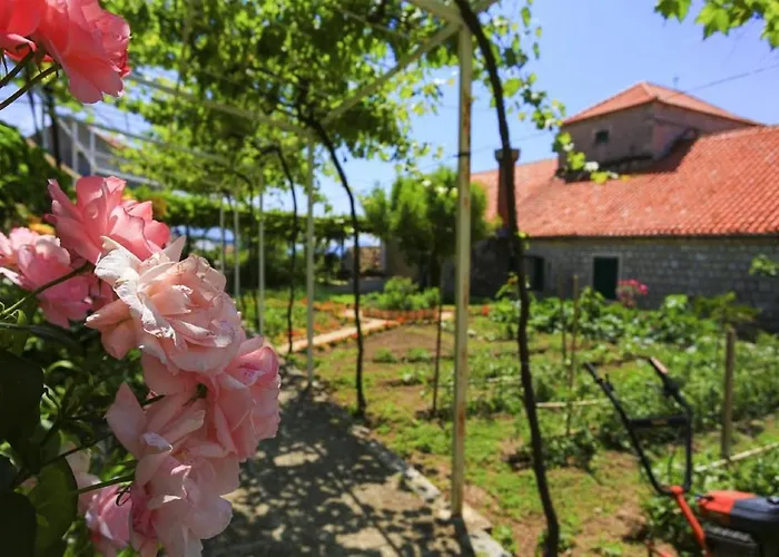 & Savonari 3* Orašac