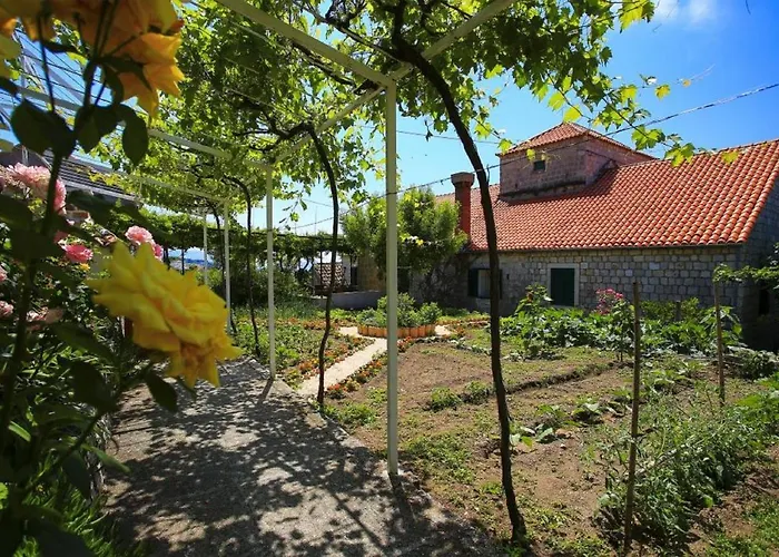 & Savonari Pensionat Orašac