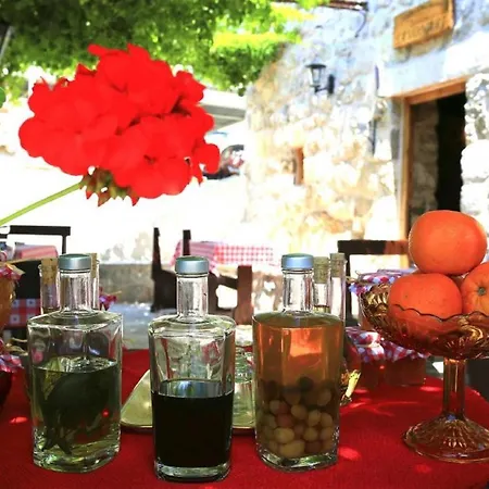 & Savonari Πανσιόν Orasac