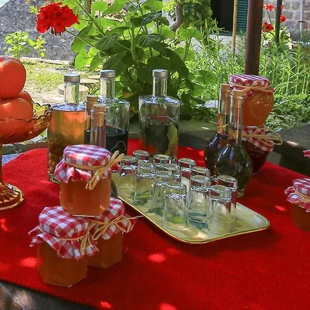 Guest house & Savonari Orasac