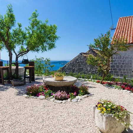 & Savonari Guest house