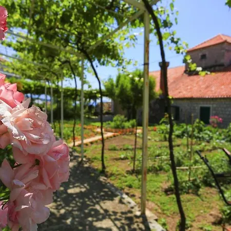 & Savonari 3* Orašac