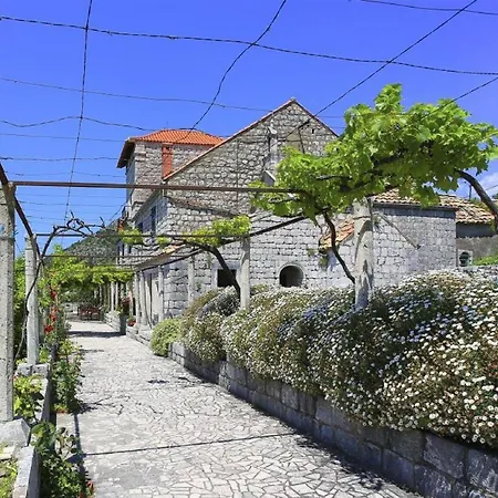 Guest house & Savonari