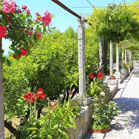 Guest house & Savonari 3*