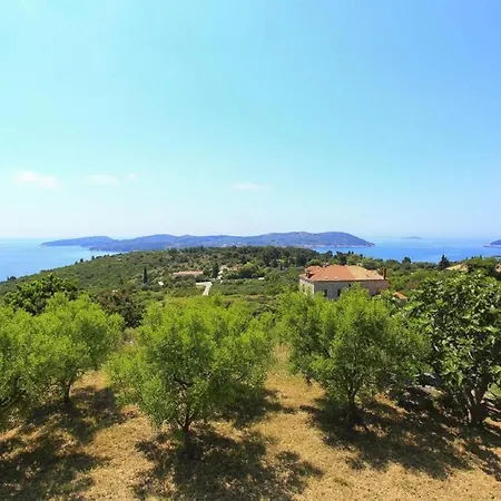 & Savonari Πανσιόν Orasac