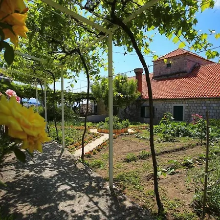 & Savonari Guest house Orasac