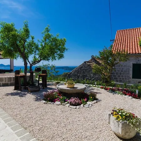 Guest house & Savonari 3*