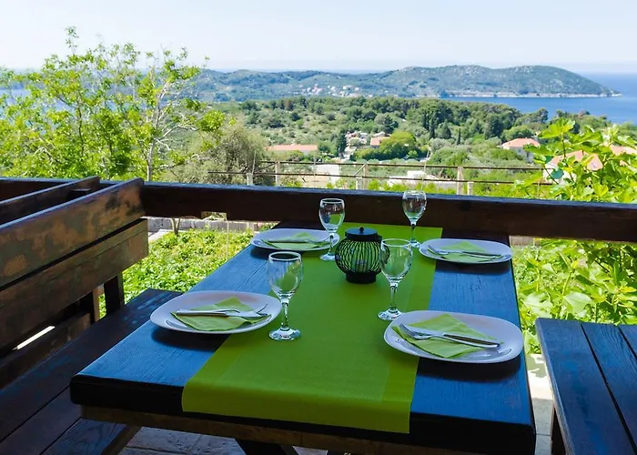 Guest house & Savonari Orasac